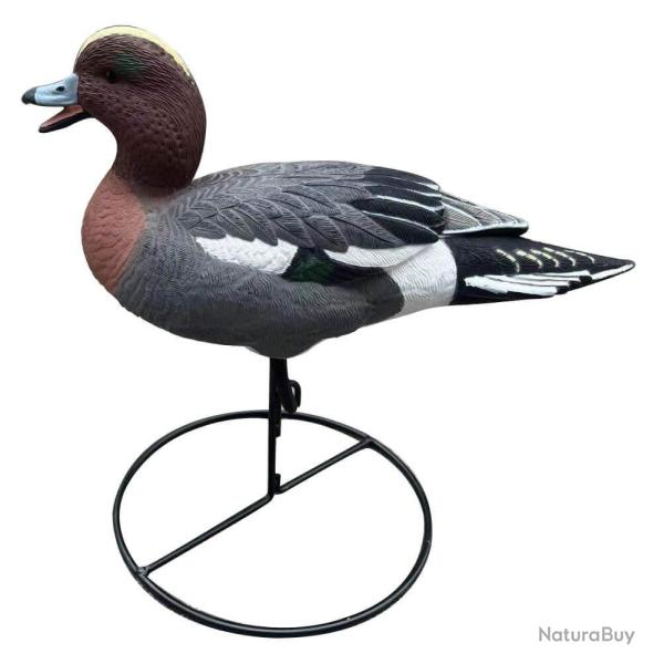 Siffleur � pattes HD