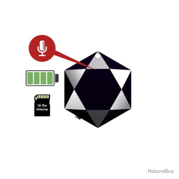 Pendentif de collier Enregistreur vocal Espion 16 GO SS-PCEV