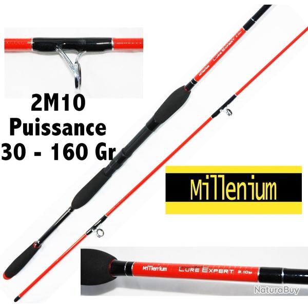 CANNE MER LURE EXPERT MILLENIUM 2M10 30 - 160 GR