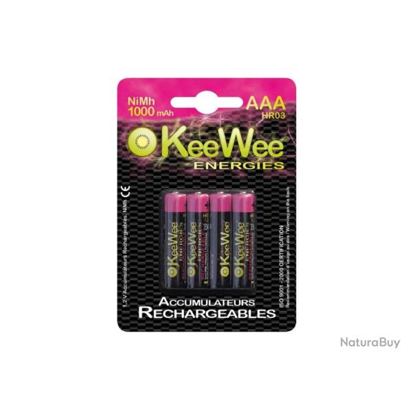 Piles rechargeables Nimh HR03 AAA 1000mah (x4)