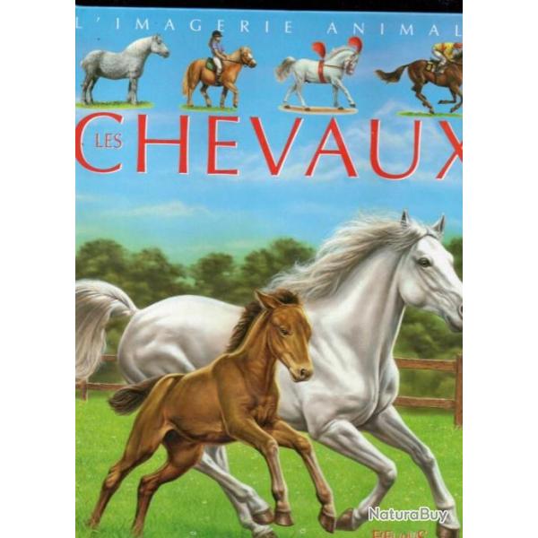 les chevaux s�rie l'imagerie animale d'agn�s vandewielle