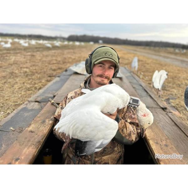 Oies et Canards au Canada