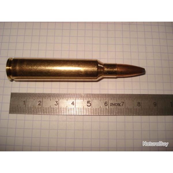 une cartouche de 300 blaser magnum, marque norma, ogive demi blind�e, rare calibre pour collection