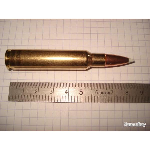 une cartouche de 338 blaser magnum, marque norma, ogive nosler accubond, rare calibre de collection
