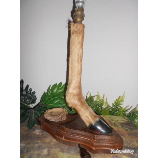 pied de cerf  mont en lampe