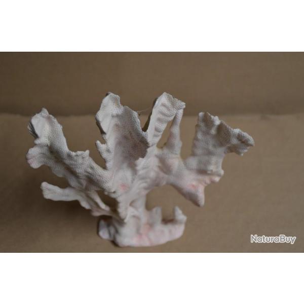 Corail pour Aquarium