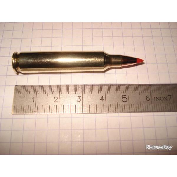 une cartouche de 204 ruger, pour collection, ogive V-Max, calibre varmint peu courant