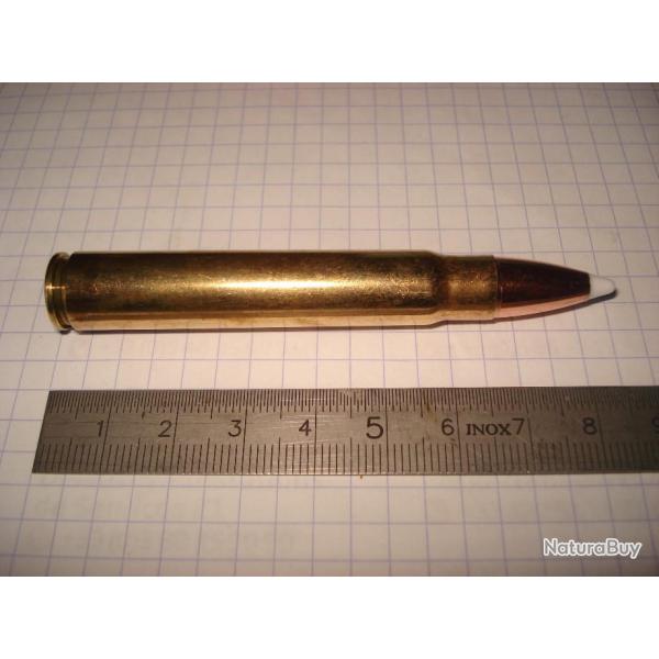 une cartouche de 9,3x66 sako ogive arrowhead nosler (pointe plastique blanche) pour collection
