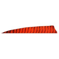 GATEWAY - Plumes naturelles Shield 4" RH BARRED ROUGE