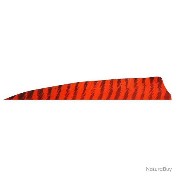 GATEWAY - Plumes naturelles Shield 4" RH BARRED ROUGE