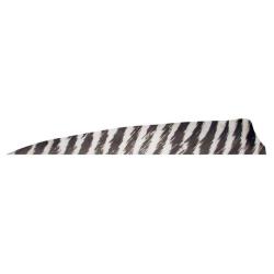 GATEWAY - Plumes naturelles Shield 4" RH BARRED BLANC