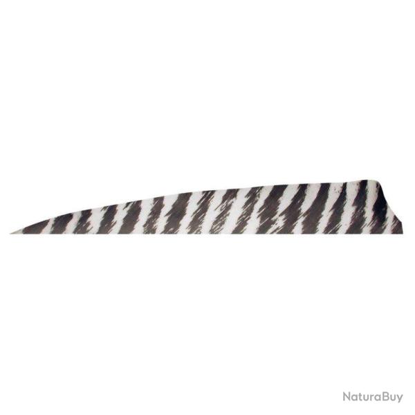 GATEWAY - Plumes naturelles Shield 4" RH BARRED BLANC