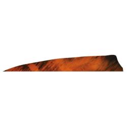 GATEWAY - Plumes naturelles Shield 4" RH TRE TRE ORANGE
