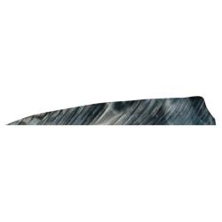 GATEWAY - Plumes naturelles Shield 4" LH TRE TRE BARK