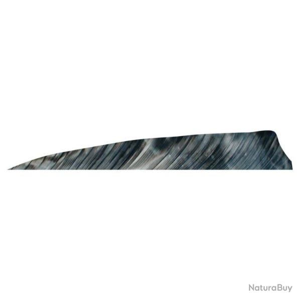 GATEWAY - Plumes naturelles Shield 4" LH TRE TRE BARK
