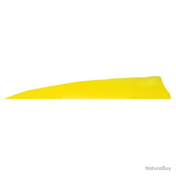 GATEWAY - Plumes naturelles Shield 4" LH Unie JAUNE