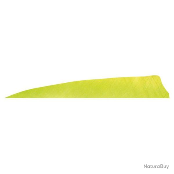GATEWAY - Plumes naturelles Shield 4" LH Unie LEMON LIME