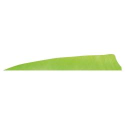 GATEWAY - Plumes naturelles Shield 4" LH Unie CHARTREUSE