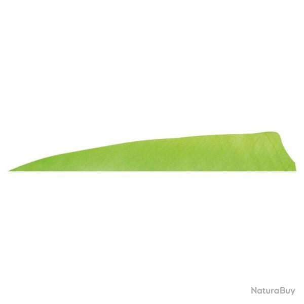 GATEWAY - Plumes naturelles Shield 4" LH Unie CHARTREUSE