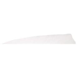 GATEWAY - Plumes naturelles Shield 4" LH Unie BLANC