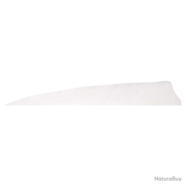 GATEWAY - Plumes naturelles Shield 4" LH Unie BLANC