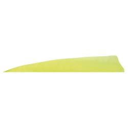 GATEWAY - Plumes naturelles Shield 4" RH Unies JAUNE FLUO