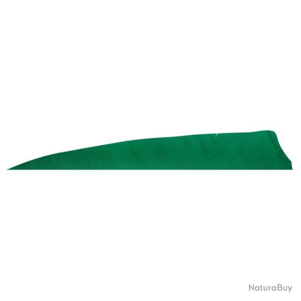 GATEWAY - Plumes naturelles Shield 4" RH Unies VERT