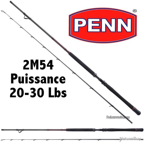 Canne bateau Penn Squadron braid 2m54 Puissance 20-30 Lbs