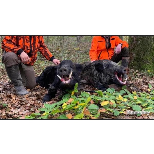 S�jour Mixte Petit & Gros Gibier - A ne pas Manquer soit 2 jours chasse / 2 nuits Saison 2025-2026