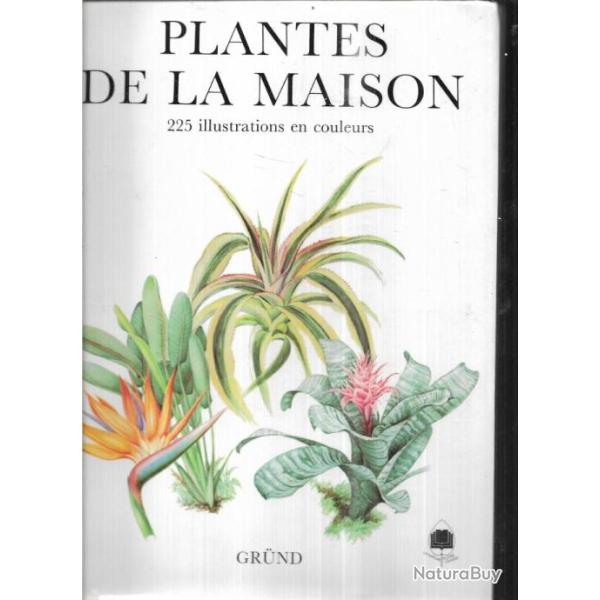 plantes de la maison de jiri haager