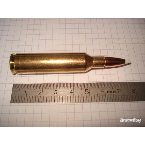 une cartouche de 7mm blaser magnum, marque norma, ogive nosler accubonb,  calibre pour collection