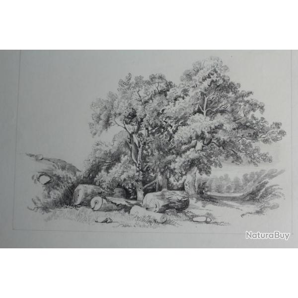 Dessin original Alexandre CALAME