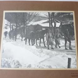 Photographie guerre 1914-18 Ravitaillement par mulets