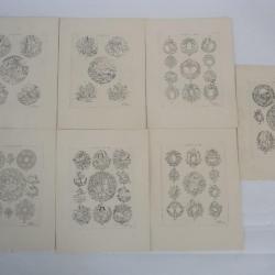 Model&eacute;s de gravures pour boites de montres F. Hanni horlogerie