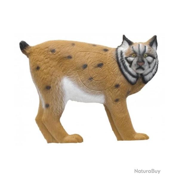 Cible 3D SRT Lynx - groupe 2