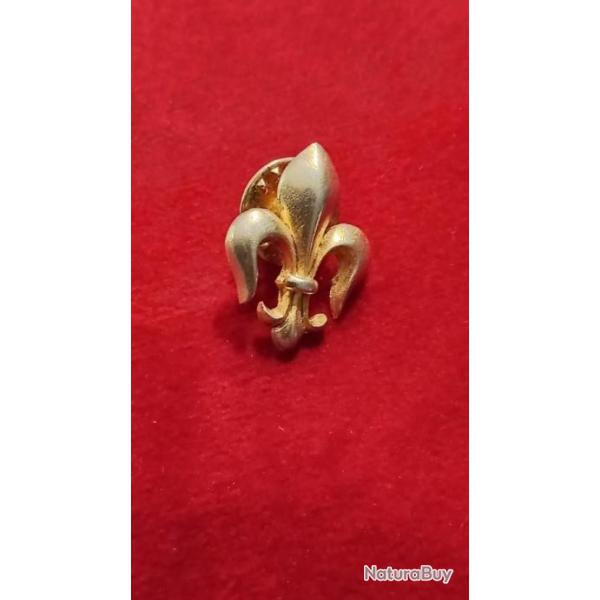 Tr�s beau pin's  " Fleur de lys "
