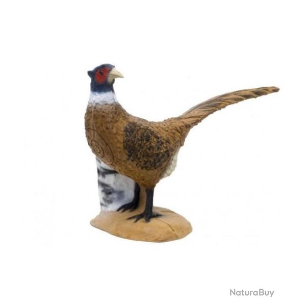 Cible 3D SRT Targets Faisan de Colchide (Pheasant) de groupe 4
