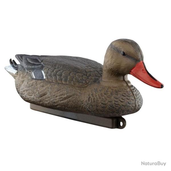 Appelant Europarm colvert femelle - Colvert