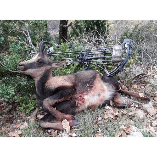 Chasse de l'terlou d'Isard dans les Pyrnes