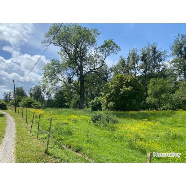 PROPRIETE RURALE ETANG BOIS MAISON SUR 20 HA (Aisne 02)