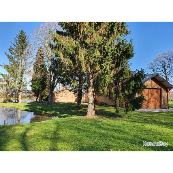 SUPERBE PROPRIETE DE LOISIRS DANS L'AVESNOIS (59 NORD)