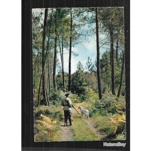 d�part pour la chasse dans les landes carte postale moderne