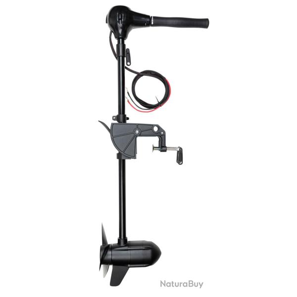 Moteur �lectrique Fox 80lb 12v BL