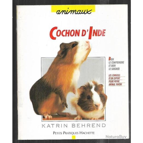 cochon d'inde de katrin behrend.