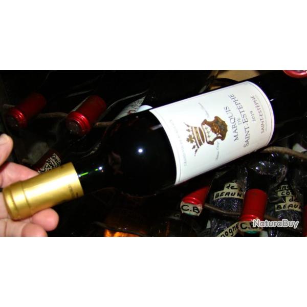 UNE BOUTEILLE DE BORDEAUX DU MARQUIS DE SAINT-ESTEPHE 2019-13% - 750ml - COLLECTION DEGUSTATION
