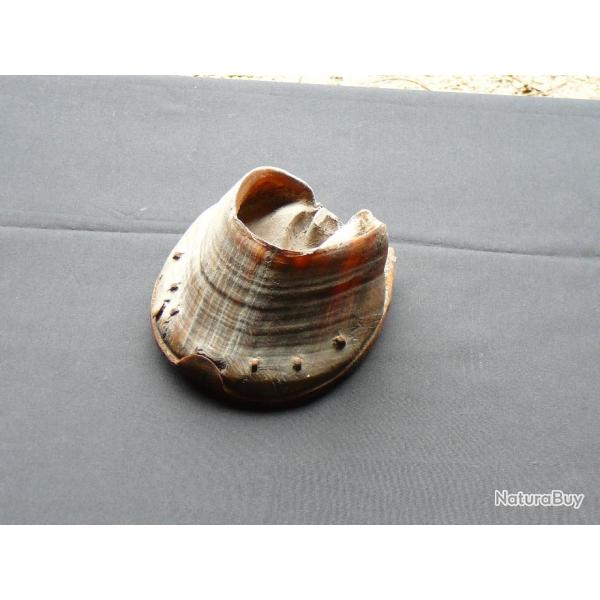 2 Sabots de chevaux ferrs et clouts