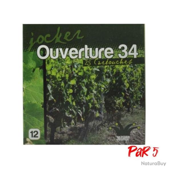 Bo�te de 25 Cartouches Jocker Ouverture 34 BG Cal. 12 70 16 Par