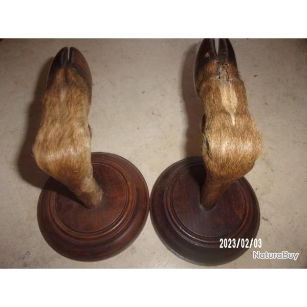 porte manteaux pieds de cerf