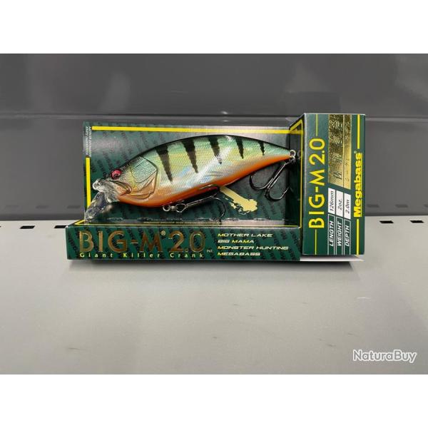MEGA BASS BIG M 2.0