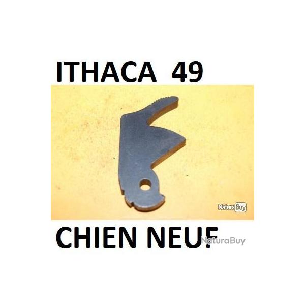 chien NEUF ITHACA 49 - VENDU PAR JEPERCUTE (D23B486)